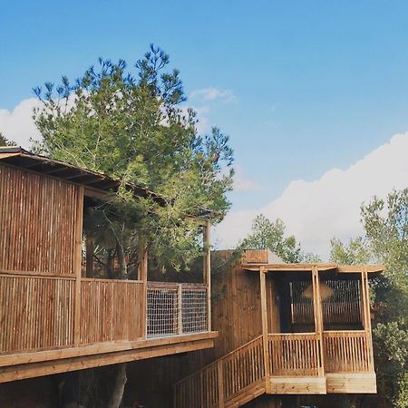 Villa Occitana Calvisson Luaran gambar